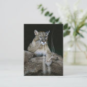 Raucherpumpe Postkarte (Stehend Vorderseite)