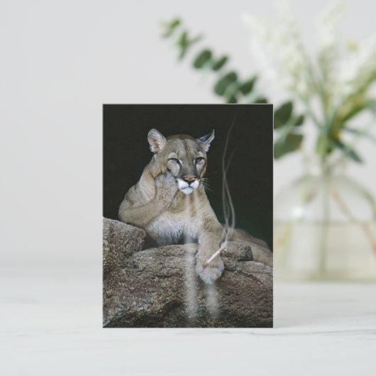 Raucherpumpe Postkarte (Stehend Vorderseite)