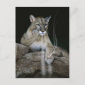 Raucherpumpe Postkarte (Vorderseite)