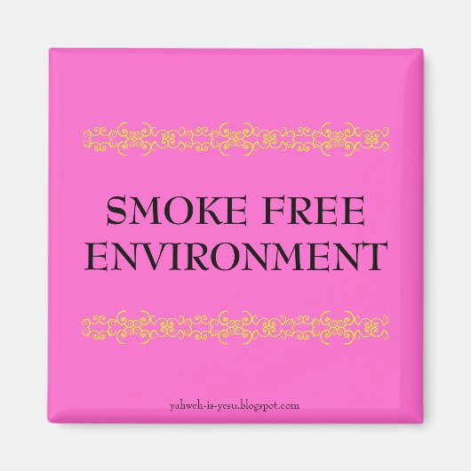 RAUCHFREIE UMGEBUNG MAGNET (Vorne)