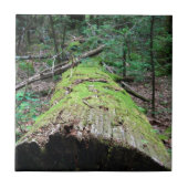 Rauchige Berge Fliese (Vorderseite)