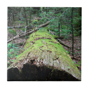 Rauchige Berge Fliese