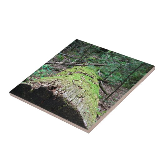 Rauchige Berge Fliese (Seite)