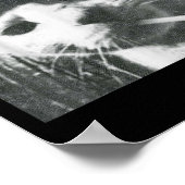 Rauchkatze Beanie Meme Grunge Ästhetische lustige Poster (Ecke)