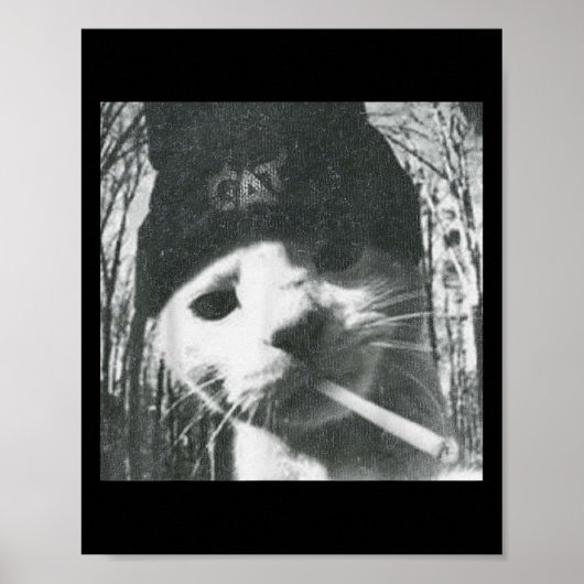 Rauchkatze Beanie Meme Grunge Ästhetische lustige  Poster (Vorne)