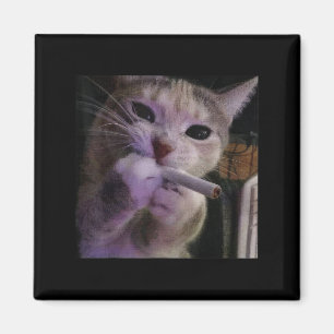 Rauchmelder, Zigarette Kätzchen Gen Z Meme, Katze Magnet