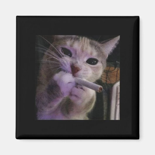 Rauchmelder, Zigarette Kätzchen Gen Z Meme, Katze Magnet (Vorne)