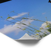 Rauchschwalbe im Flug Poster (Ecke)