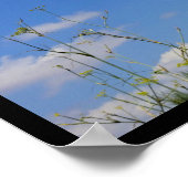 Rauchschwalbe im Flug Poster (Ecke)
