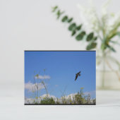 Rauchschwalbe im Flug Postkarte (Stehend Vorderseite)