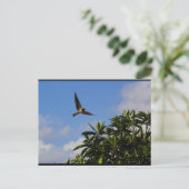 Rauchschwalbe offene Flügel Postkarte (Stehend Vorderseite)