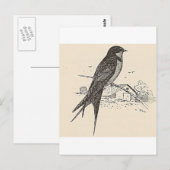 Rauchschwalbe Postkarte (Vorne/Hinten)