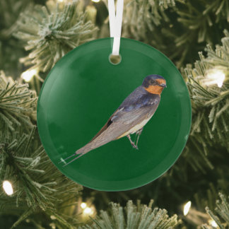 Rauchschwalbe Vogel Foto Ornament Aus Glas