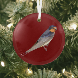 Rauchschwalben-Vogel-Foto-Ornament Ornament Aus Glas
