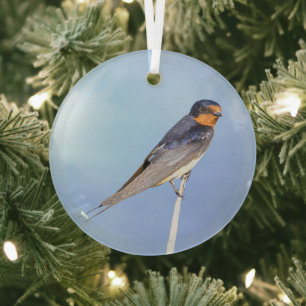 Rauchschwalben-Vogel-Foto-Ornament Ornament Aus Glas