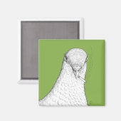 Rauchtaube Magnet | Bizarre, Quirky und Spaß (Vorderseite/Rückseite)