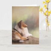 Raue Collie-Gruß-Karte Karte (Gelbe Blume)