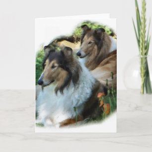 Raue Collie-Kunst-Geschenke Karte