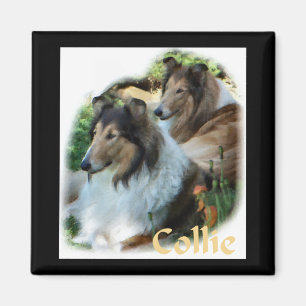 Raue Collie-Kunst-Geschenke Magnet