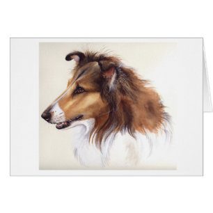 Rauer Collie gemalt in der Wasserfarbe