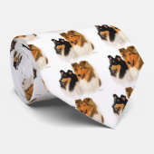 Rauer Collie Krawatte (Gerollt)