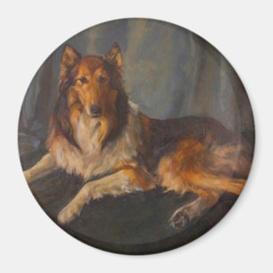 rauer Colliemagnet Magnet