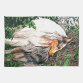 Raues Collie-Tuch Geschirrtuch (Horizontal)