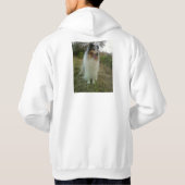 raues Collies Hoodie (Rückseite)