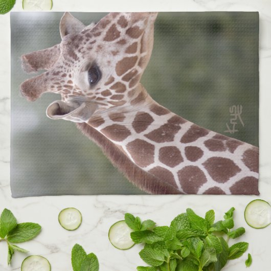 Rauf! Küchentücher (Gefaltet)