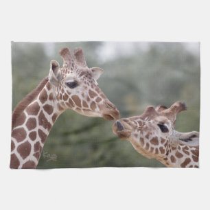 Rauf! Küchentücher