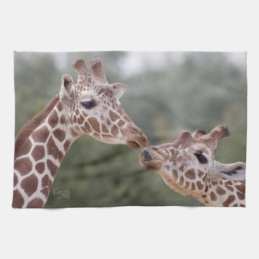 Rauf! Küchentücher (Horizontal)