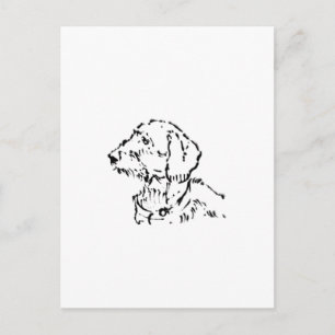 Rauhaar-Dachshund-Hundeeltern Postkarte