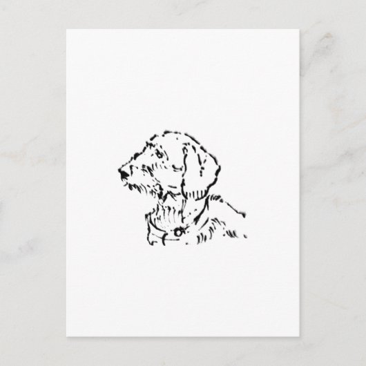 Rauhaar-Dachshund-Hundeeltern Postkarte (Vorderseite)