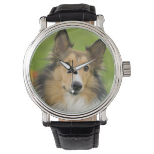 Rauhcollie, Hund Armbanduhr