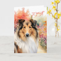 Rauhhaar Collie Hund Bunter Gartenweg Gute Besseru