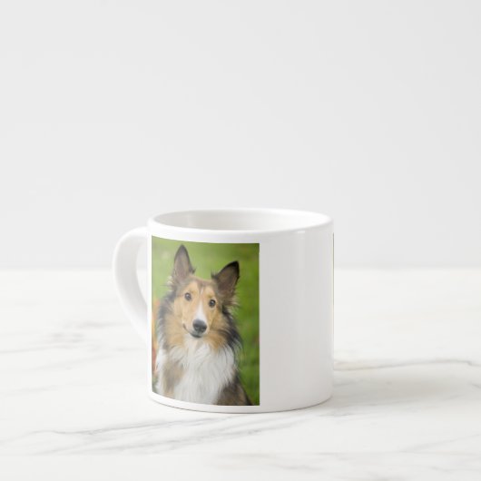 Rauhhaar Collie, Hund Espressotasse (Vorderseite Links)