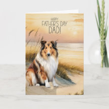 Rauhhaar Collie Hund Sonnenuntergang Strand Vatert