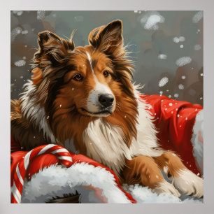 Rauhhaar Collie Weihnachtsfestlich Poster