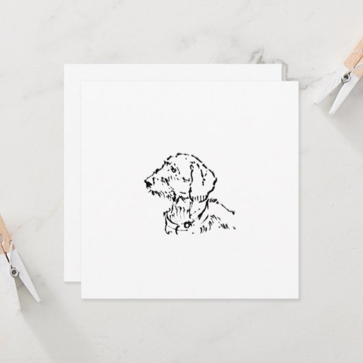 Rauhhaar-Dachshund-Hundeeltern (Vorderseite/Rückseite Beispiel)