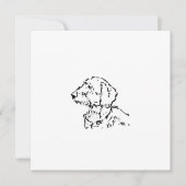 Rauhhaar-Dachshund-Hundeeltern (Vorderseite)