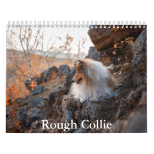 Rauhhaard Collie-Kalender Kalender
