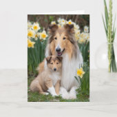 Rauhhaard Collie Mutter Muttertag Liebe Karte (Vorderseite)