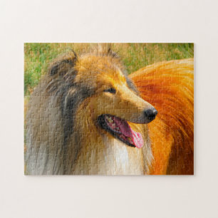 Rauhhaarige Collie-Hunde Puzzles. Puzzle