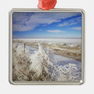 Rauhreif überzieht Tumbleweed und Zaunlinie in der Silbernes Ornament