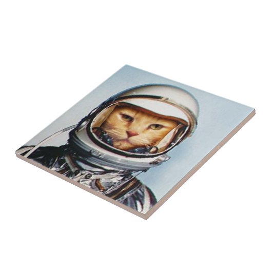 Raum-Katze Fliese (Seite)