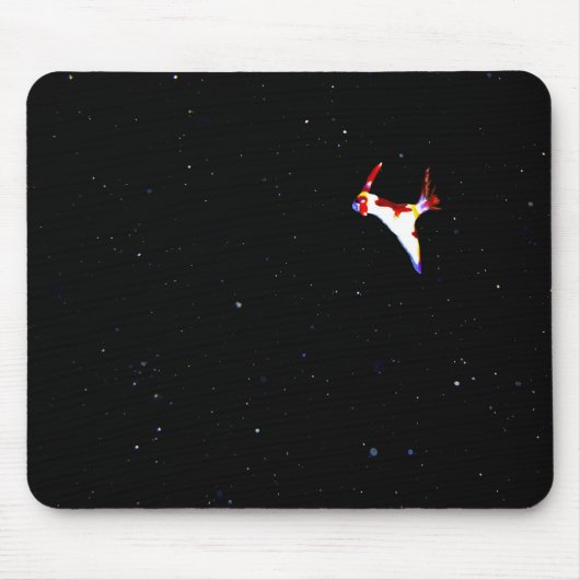 Raum Nudibranch Mousepad (Vorne)