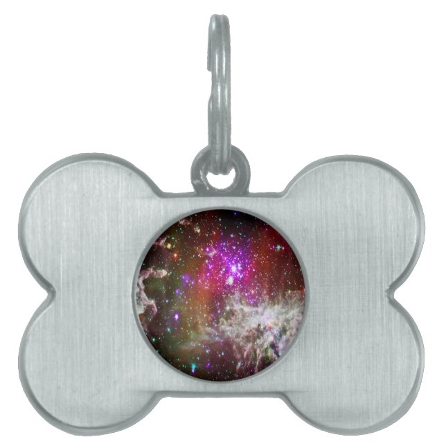 Raum - Pacman Nebula Tiermarke (Vorderseite)