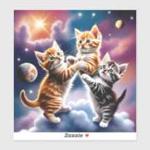 Raum und Katze