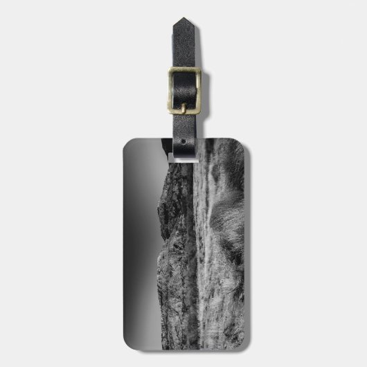 Raum zu durchstreifen gepäckanhänger (Vorderseite vertikal)