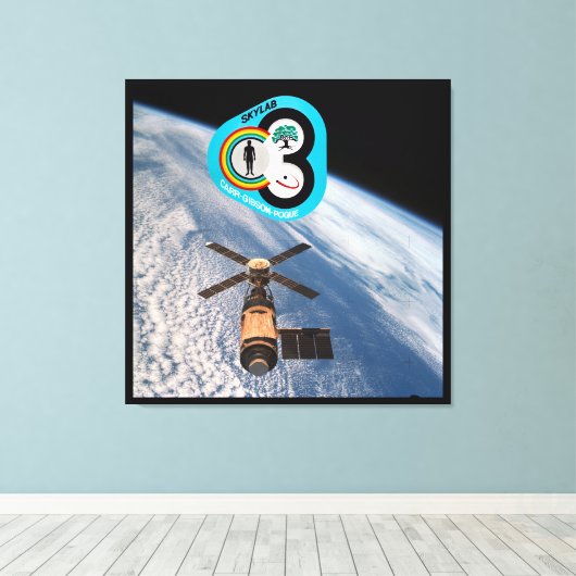 RAUMFAHRT LABRADOR 3 LEINWANDDRUCK (Insitu (Holzboden))